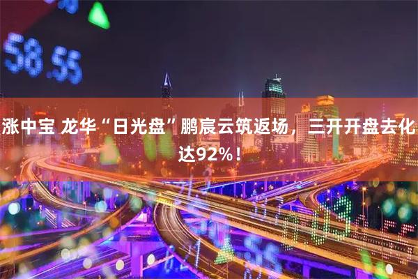 涨中宝 龙华“日光盘”鹏宸云筑返场，三开开盘去化达92%！