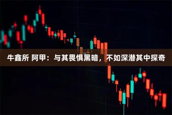 牛鑫所 阿甲：与其畏惧黑暗，不如深潜其中探奇