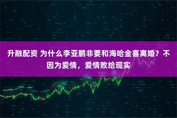 升融配资 为什么李亚鹏非要和海哈金喜离婚？不因为爱情，爱情败给现实