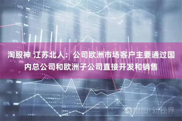 淘股神 江苏北人：公司欧洲市场客户主要通过国内总公司和欧洲子公司直接开发和销售