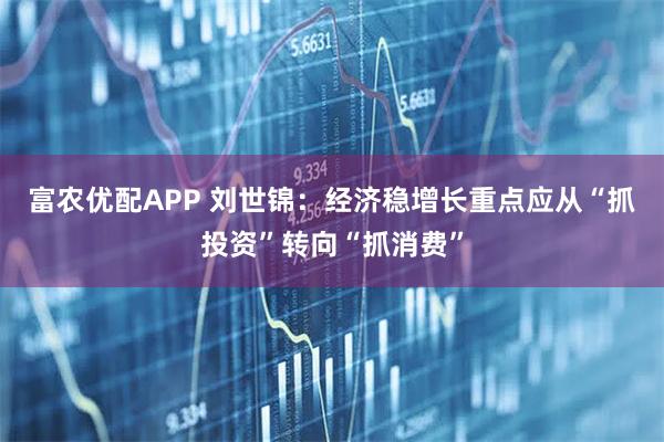 富农优配APP 刘世锦：经济稳增长重点应从“抓投资”转向“抓消费”
