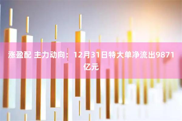涨盈配 主力动向：12月31日特大单净流出9871亿元
