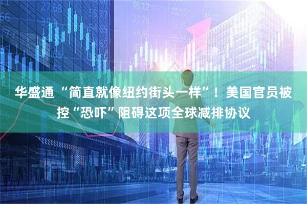华盛通 “简直就像纽约街头一样”！美国官员被控“恐吓”阻碍这项全球减排协议