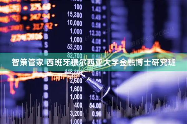 智策管家 西班牙穆尔西亚大学金融博士研究班