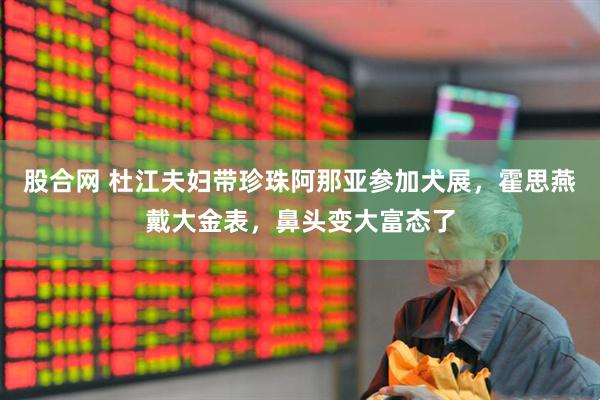 股合网 杜江夫妇带珍珠阿那亚参加犬展，霍思燕戴大金表，鼻头变大富态了