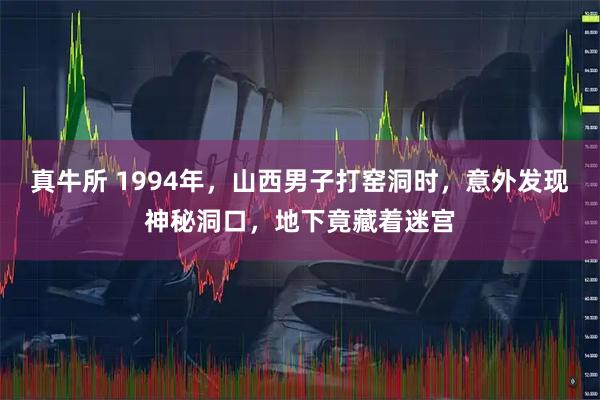 真牛所 1994年，山西男子打窑洞时，意外发现神秘洞口，地下竟藏着迷宫