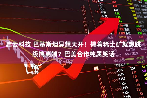 启云科技 巴基斯坦异想天开!攥着稀土矿就想跳级搞高端?巴美合作纯属笑话