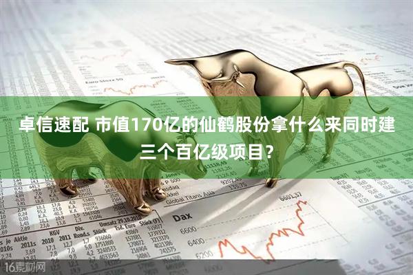 卓信速配 市值170亿的仙鹤股份拿什么来同时建三个百亿级项目？