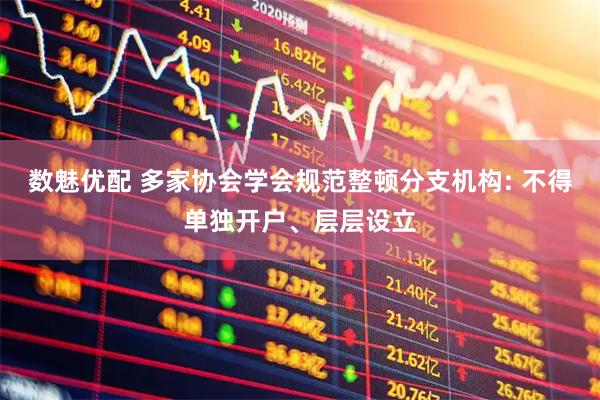 数魅优配 多家协会学会规范整顿分支机构: 不得单独开户、层层设立